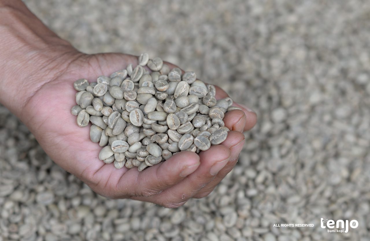 Petani Tasikmalaya 1 Green Beans Green Beans Tasikmalaya