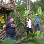 Potensi Kopi Tasikmalaya 62.000 Hektar Lahan