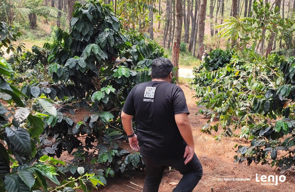 Kebun Kopi Karaha Bodas
