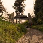Indonesia Kuat di Produksi & Pasar Domestik Kopi