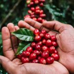 Speciality Coffee Bukan Sekedar Jargon