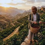 Peran Yaman & Al-Mukha dalam Peradaban Kopi Global