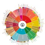 Seni Membaca Rasa Coffee Taster’s Flavor Wheel