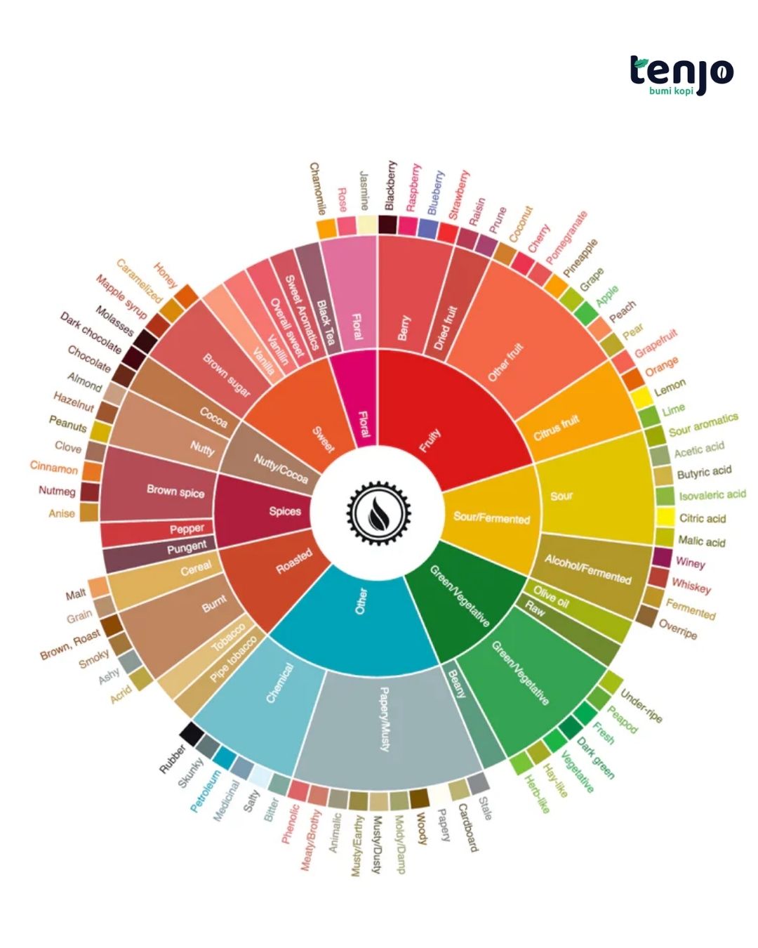 Seni Membaca Rasa Coffee Taster’s Flavor Wheel