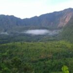Ekologi yang Menghidupi Tasikmalaya