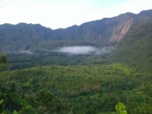 KOPI, HUTAN DAN SUNGAI, EKOLOGI YANG MENGHIDUPI TASIKMALAYA
